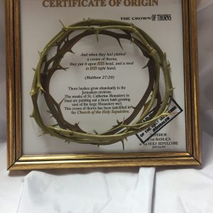 THE CROWN OF THORNS