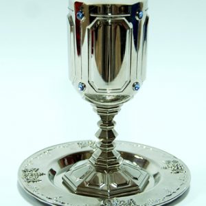 silver plated cup 2